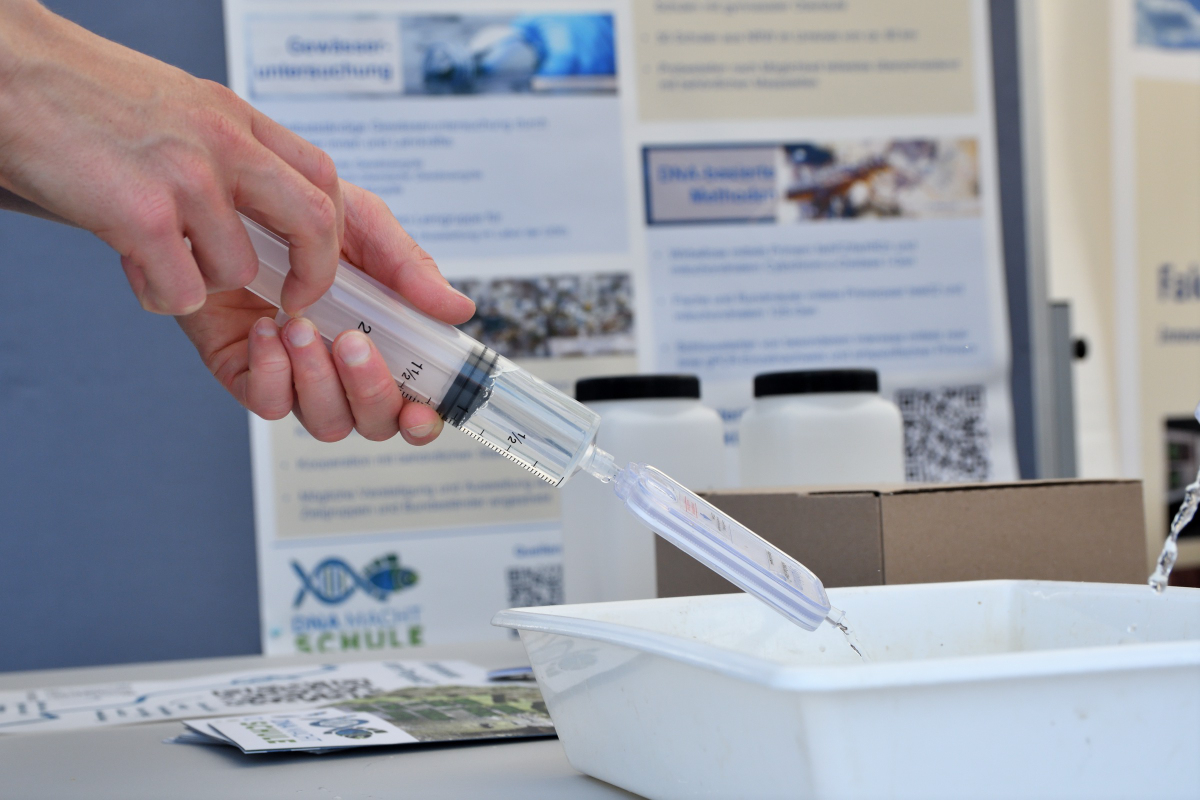Mit einer Spritze wird Wasser durch einen Filter für Umwelt-DNA-Proben gedrückt.